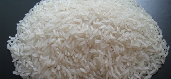 Thai White rice 100% broken