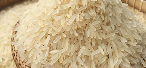 Organic Jasmine Rice